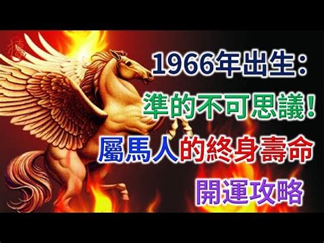 67年次屬馬|屬馬今年幾歲｜屬馬民國年次、馬年西元年